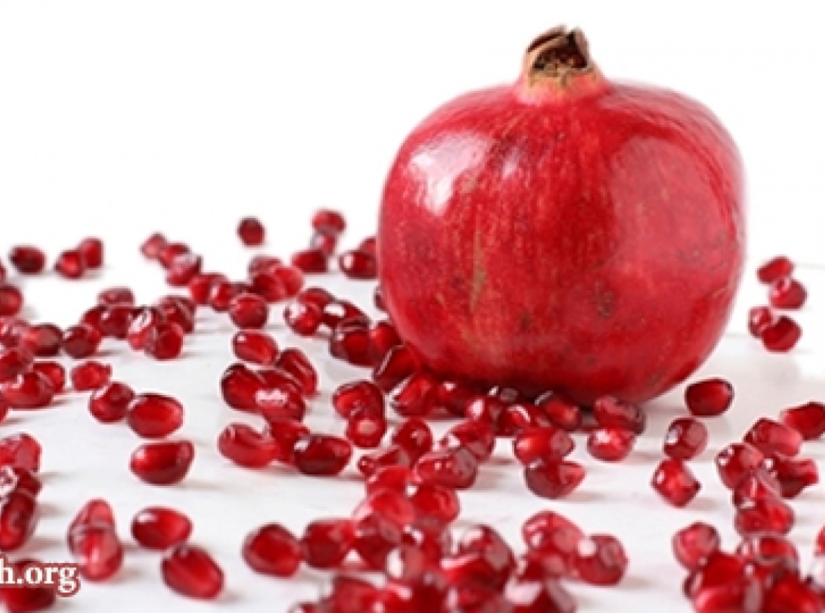 مواد غذایی معجزه‌گر قرآن
