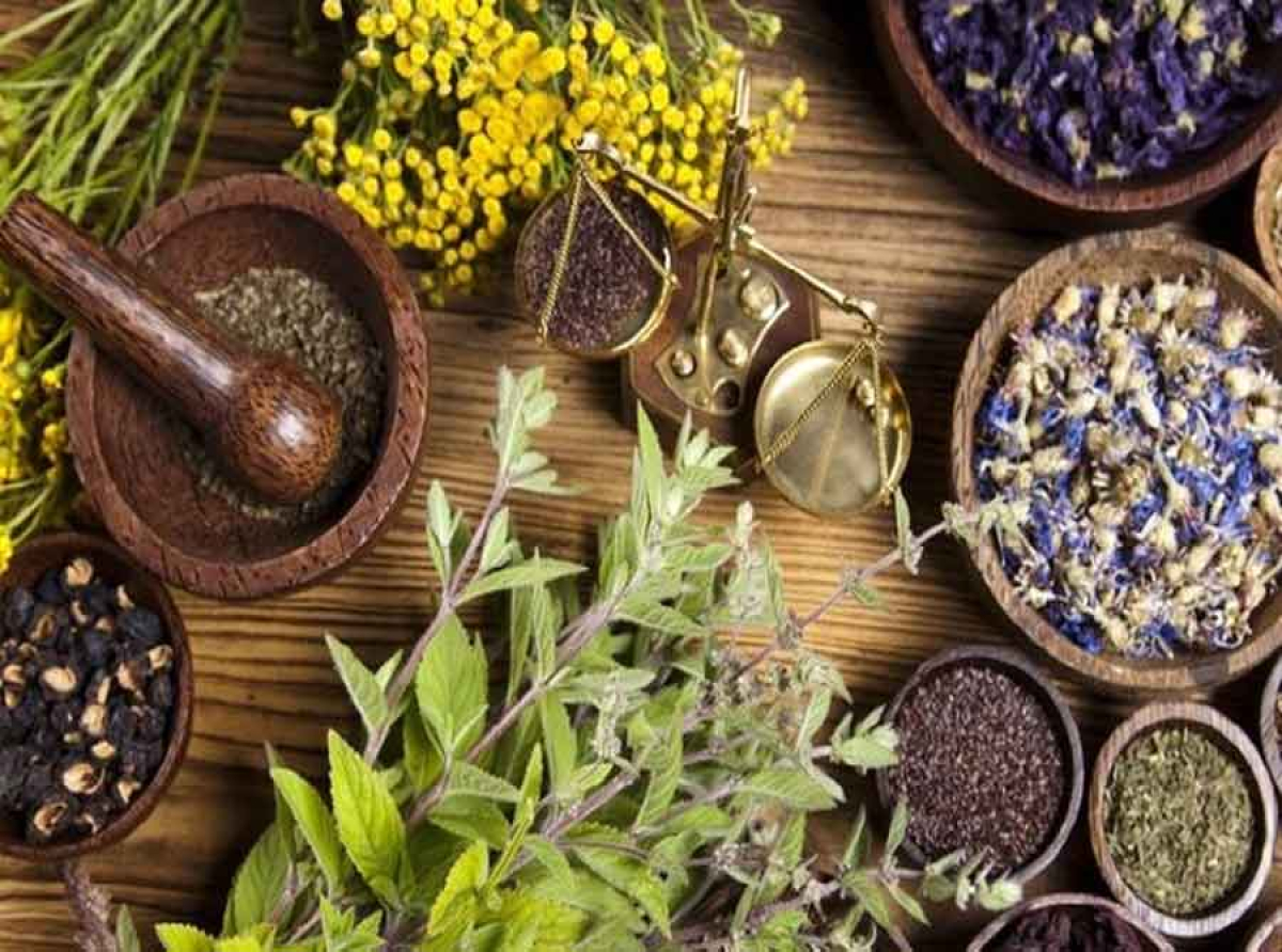 اسوه ,موسسه فرهنگی قرآن و عترت اسوه تهران
